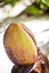 Hochzeitsfotograf Seychellen Hochzeit Sebastian Mühlig Fotograf Hamburg Hochzeit