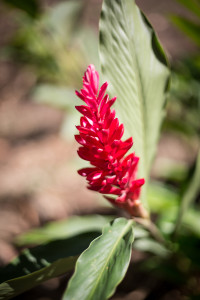 Hochzeitsfotograf Seychellen Hochzeit Sebastian Mühlig Fotograf Hamburg Hochzeit