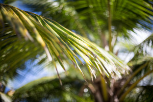 Hochzeitsfotograf Seychellen Hochzeit Sebastian Mühlig Fotograf Hamburg Hochzeit