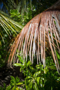 Hochzeitsfotograf Seychellen Hochzeit Sebastian Mühlig Fotograf Hamburg Hochzeit