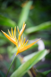 Hochzeitsfotograf Seychellen Hochzeit Sebastian Mühlig Fotograf Hamburg Hochzeit