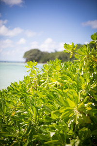 Hochzeitsfotograf Seychellen Hochzeit Sebastian Mühlig Fotograf Hamburg Hochzeit