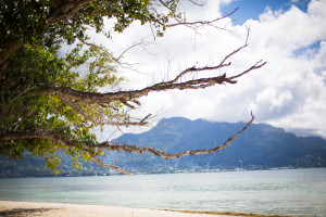 Hochzeitsfotograf Seychellen Hochzeit Sebastian Mühlig Fotograf Hamburg Hochzeit